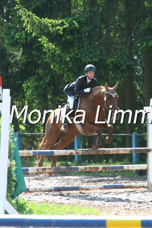 104M7905_Spring A.JPG